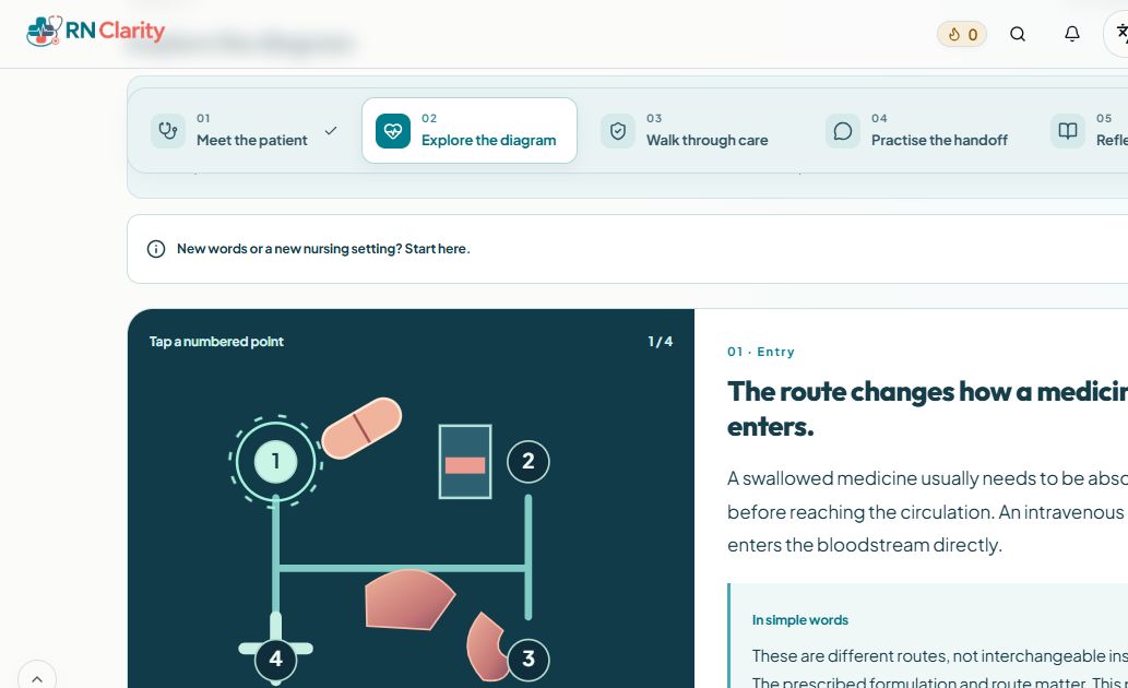 RN Clarity interactive medication-safety lesson: five learning stations and a numbered medicine-journey diagram with a plain-English explanation.
