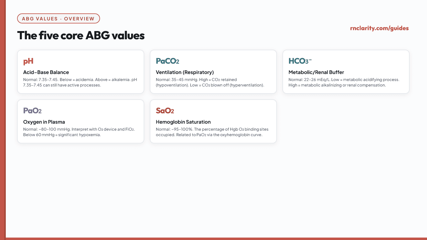 Animated diagram showing the five core ABG values: pH (acid-base balance), PaCO2 (ventilation), HCO3- (metabolic/renal), PaO2 (oxygen dissolved in plasma), and SaO2 (hemoglobin oxygen saturation), each labeled with its primary clinical meaning and common reference range.