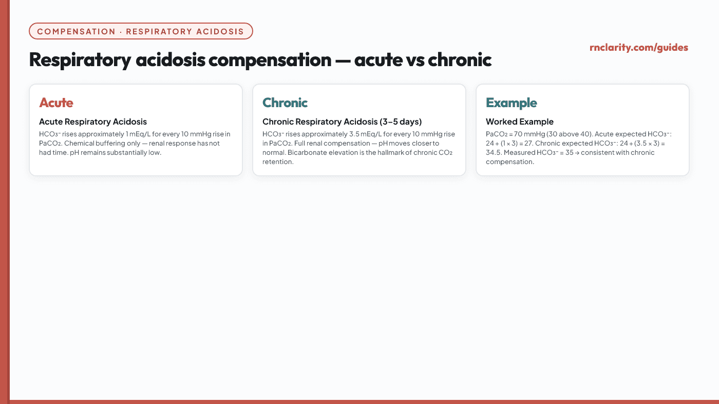 Animated diagram comparing acute versus chronic respiratory acidosis compensation. Acute: HCO3- rises 1 mEq/L per 10 mmHg PaCO2 increase. Chronic (3-5 days): HCO3- rises 3.5 mEq/L per 10 mmHg PaCO2 increase. A worked example shows how pH differs between the two.