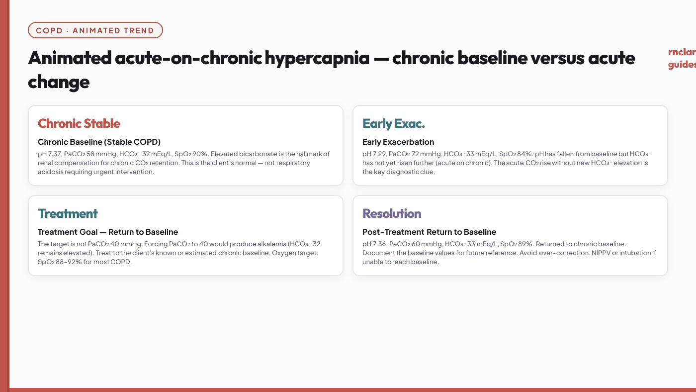 Animated acute-on-chronic hypercapnia trend comparing chronic stable state (pH 7.36, PaCO2 58, HCO3- 32, SpO2 88%) with acute exacerbation (pH 7.22, PaCO2 78, HCO3- 31, SpO2 80%). The elevated baseline bicarbonate is key to recognizing chronic retention. The goal is return to baseline, not a normal PaCO2 of 40 mmHg.