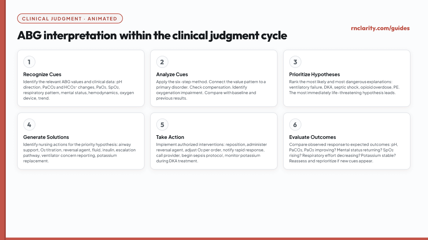 Animated clinical judgment cycle showing how ABG interpretation fits the six CJMM steps. Recognize cues: abnormal ABG values + clinical findings. Analyze cues: identify primary disorder, compensation, oxygenation impairment. Prioritize hypotheses: most dangerous explanation first. Generate solutions: targeted nursing actions for the cause. Take action: implement interventions, escalate. Evaluate outcomes: repeat ABG, clinical reassessment.