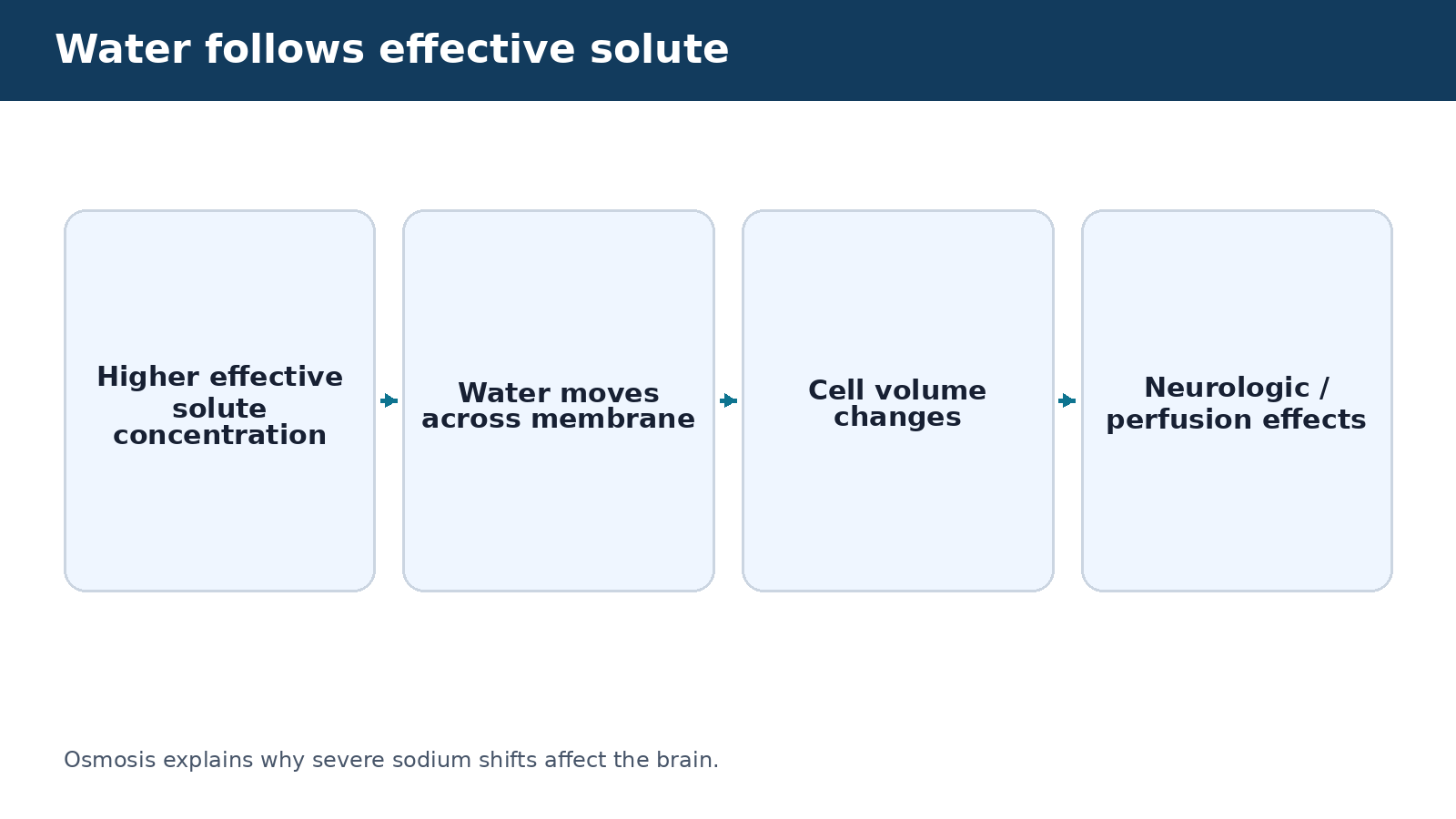 Water follows effective solute — visual summary of the explanation in this section