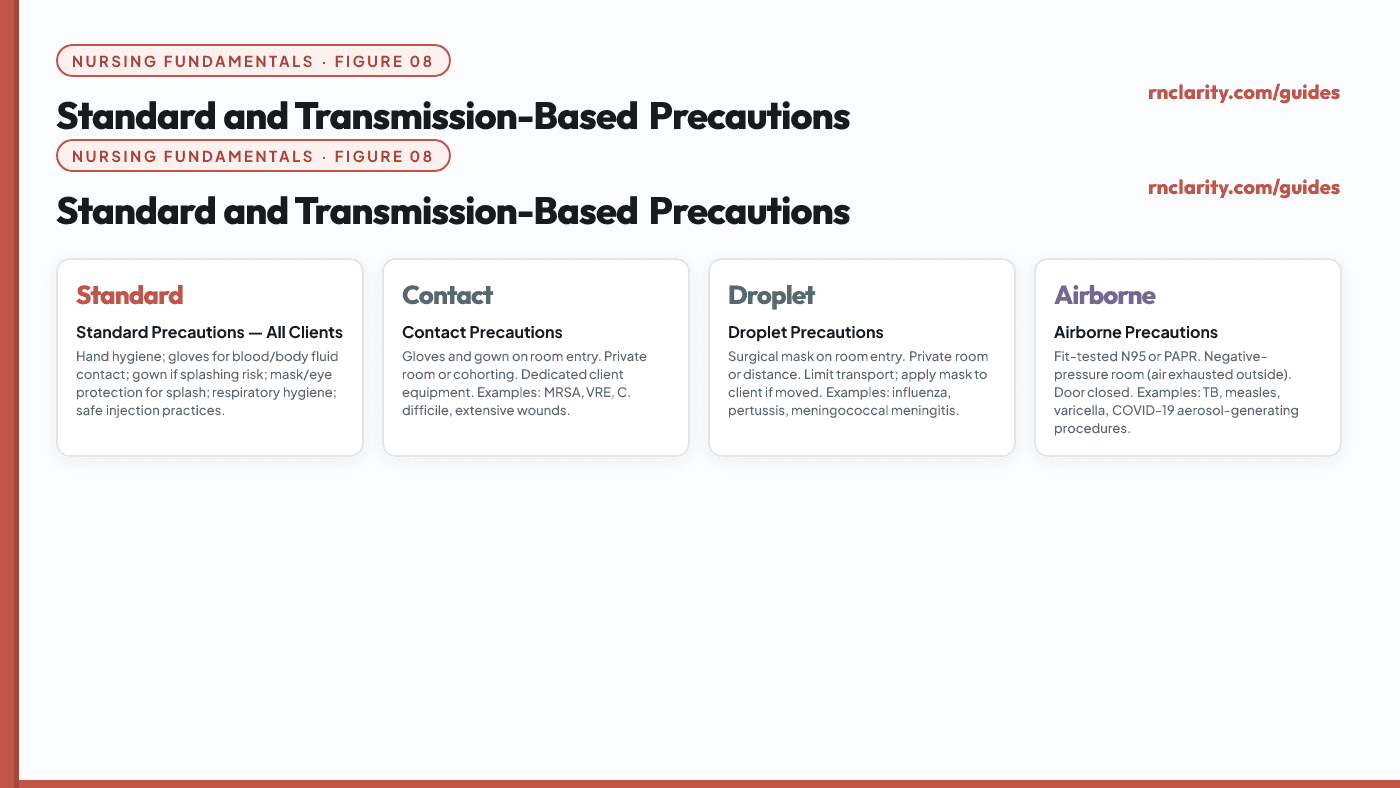Animated two-column table card showing Standard Precautions on the left (hand hygiene, gloves, gown, mask/eye protection for anticipated exposure, respiratory hygiene, safe injection practices) and Transmission-Based Precautions on the right with three rows: Airborne (N95, negative-pressure room), Droplet (surgical mask, private room), and Contact (gloves and gown for room entry).