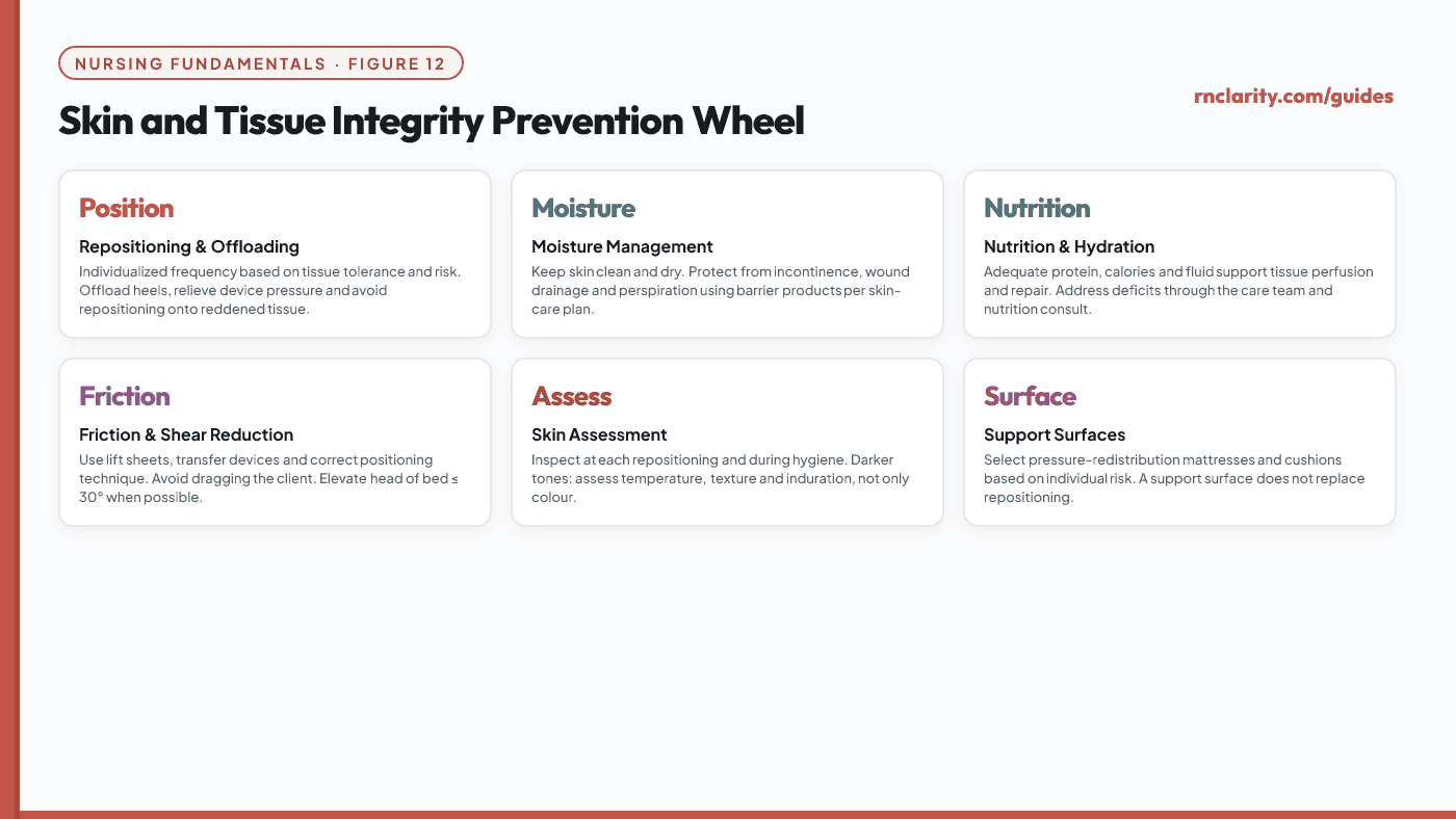 Animated six-spoke wheel diagram showing the pressure injury prevention bundle: Positioning at the top, then clockwise: Moisture management, Nutrition and hydration, Friction and shear reduction, Skin assessment, and Support surfaces, with each spoke highlighting in sequence and brief prevention actions labeled at each spoke.