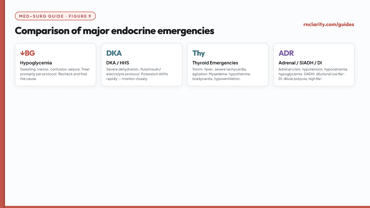 Animated comparison of major endocrine emergencies — DKA, HHS, thyroid storm, myxedema coma, adrenal crisis, SIADH and diabetes insipidus — showing key findings and priorities for each.