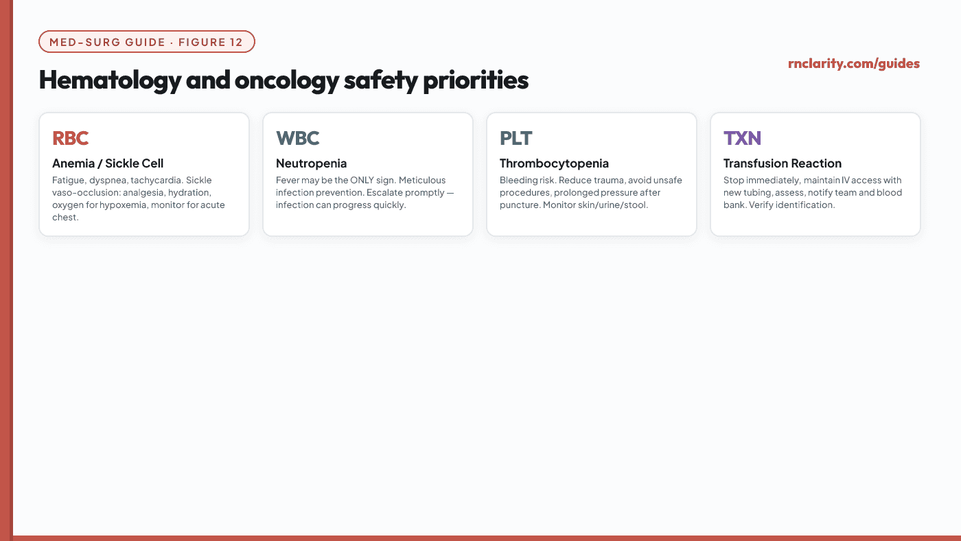 Animated hematology and oncology safety priorities — anemia, neutropenia, thrombocytopenia, DIC, cancer-treatment complications and blood transfusion reactions, each with priority nursing actions.