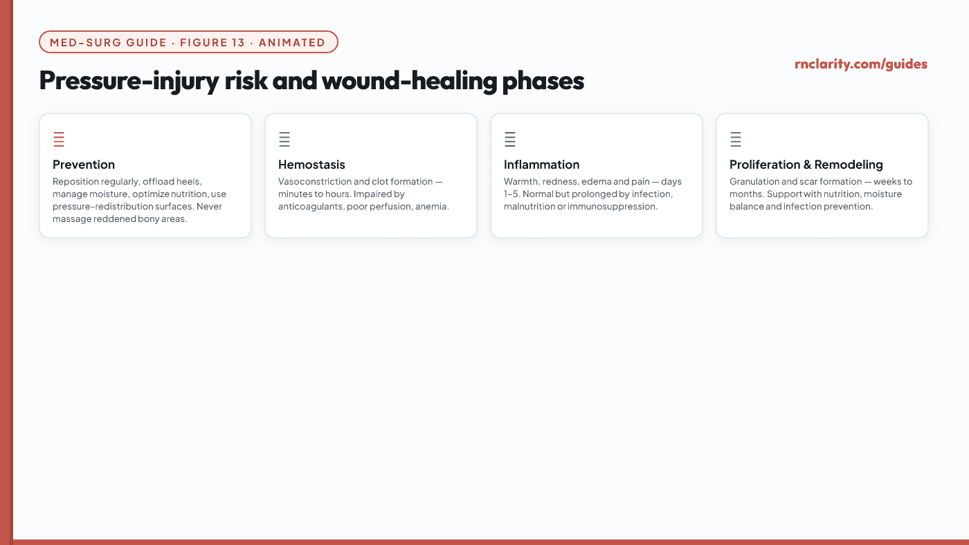 Animated pressure-injury risk and wound-healing phases diagram — risk factors, prevention strategies and the four wound-healing stages with nursing actions at each phase.