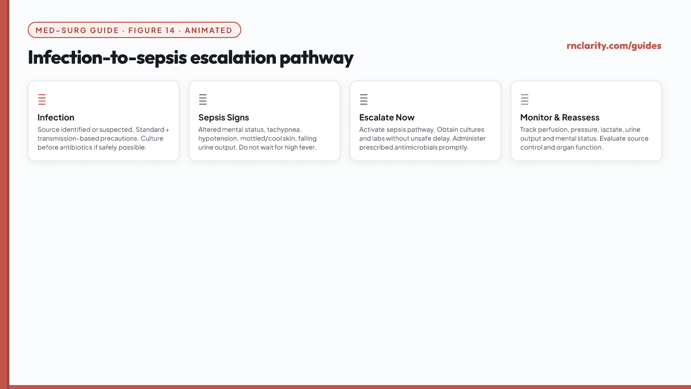 Animated infection-to-sepsis escalation pathway — early infection signs, sepsis criteria, organ dysfunction indicators and the nursing escalation and sepsis bundle response.