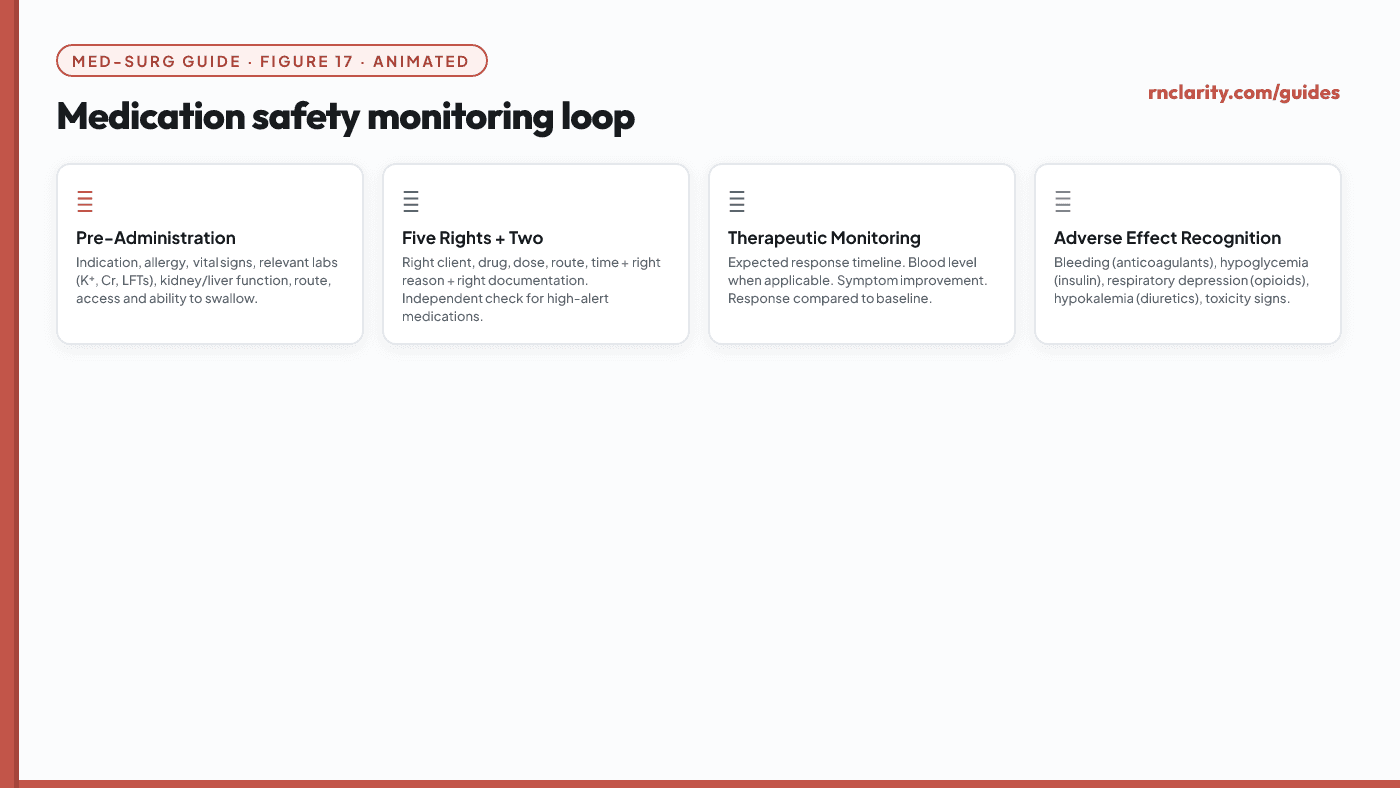Animated medication safety monitoring loop — pre-administration assessment, administration rights, therapeutic response monitoring and adverse effect recognition for high-alert medication groups.