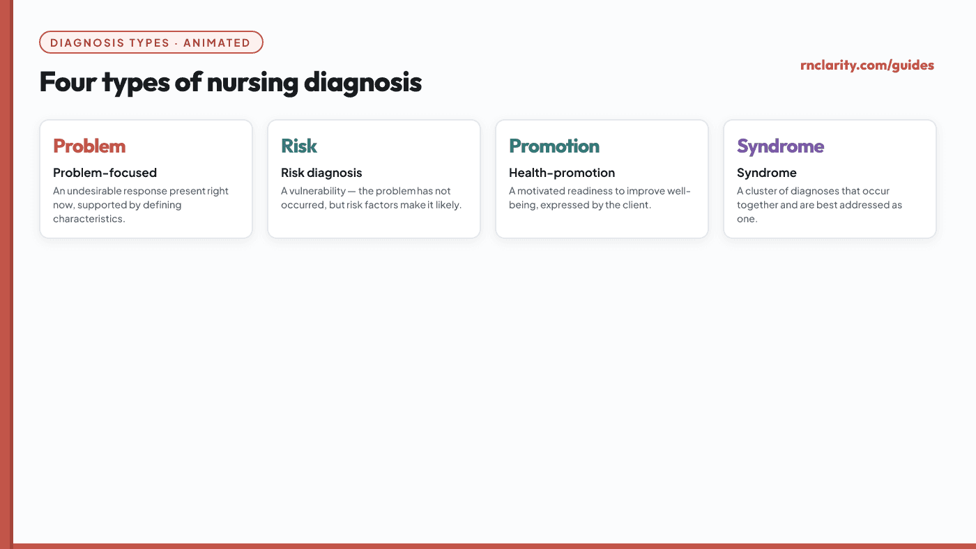 Animated overview of nursing diagnosis types: problem-focused, risk, health-promotion, and syndrome, with a brief description of each.