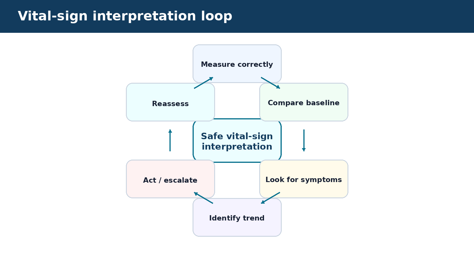 Vital-sign interpretation loop — visual summary of the explanation in this section